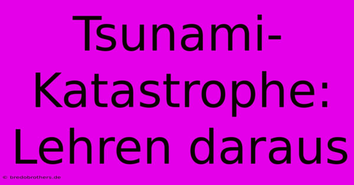 Tsunami-Katastrophe: Lehren Daraus