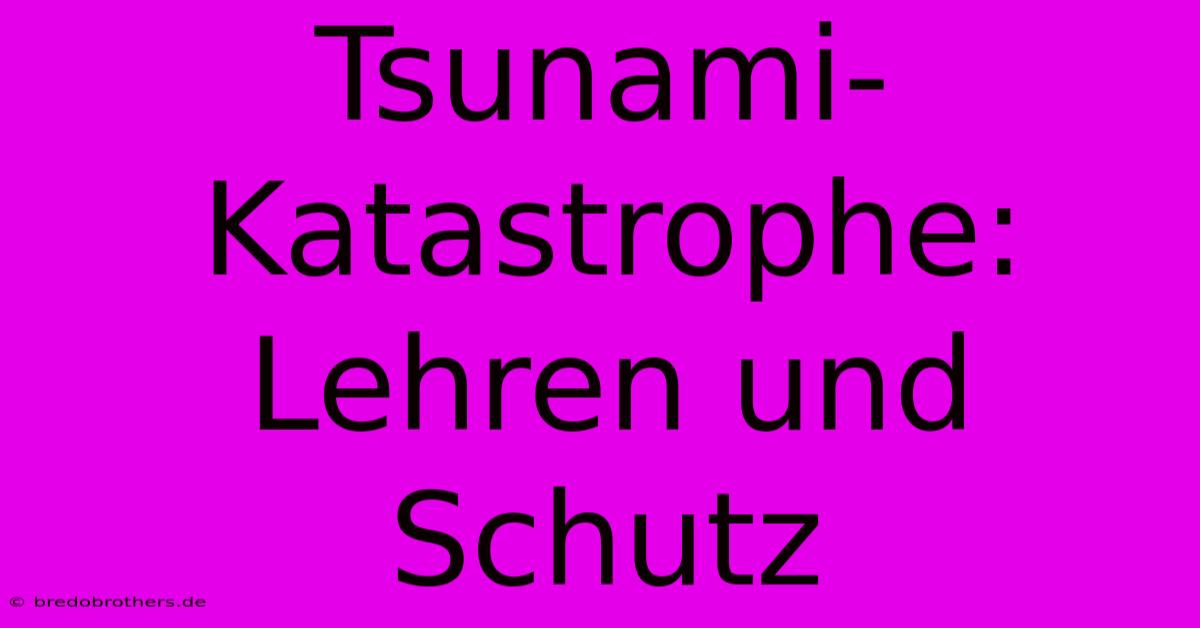 Tsunami-Katastrophe: Lehren Und Schutz