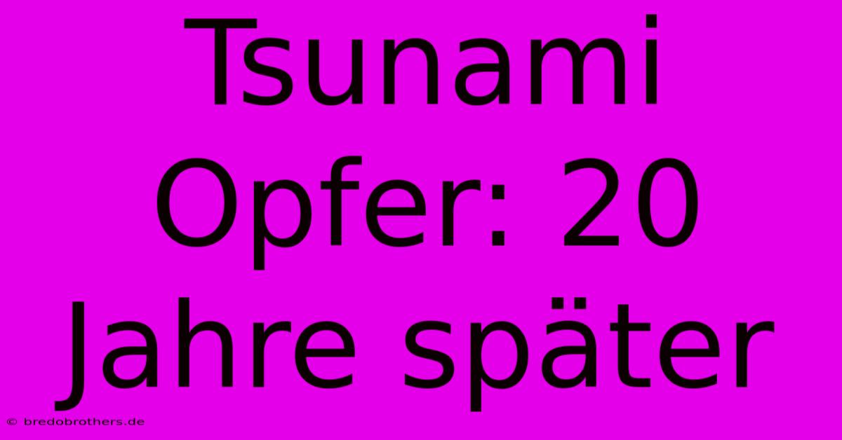 Tsunami Opfer: 20 Jahre Später