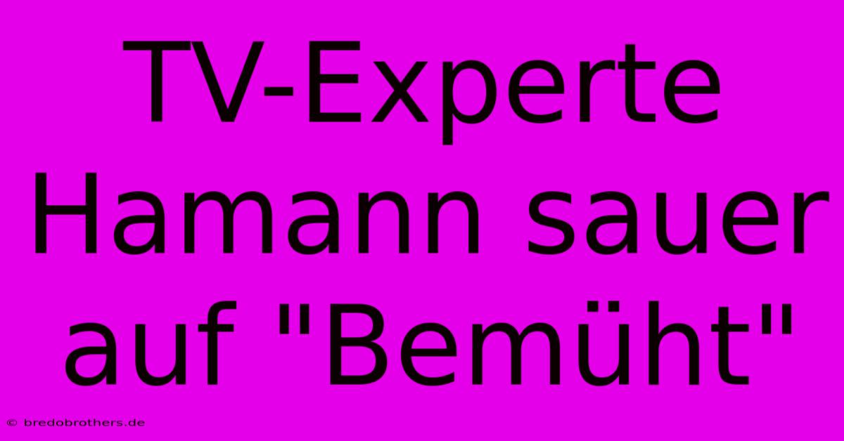 TV-Experte Hamann Sauer Auf 