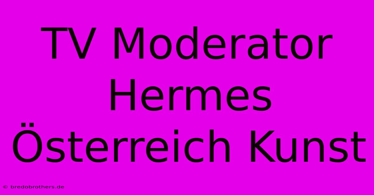 TV Moderator Hermes Österreich Kunst