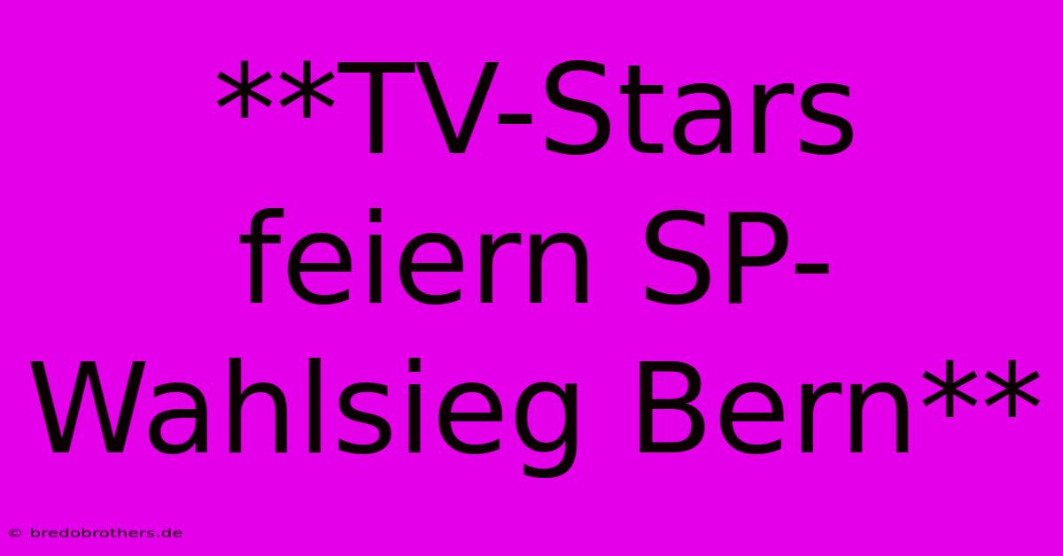 **TV-Stars Feiern SP-Wahlsieg Bern**