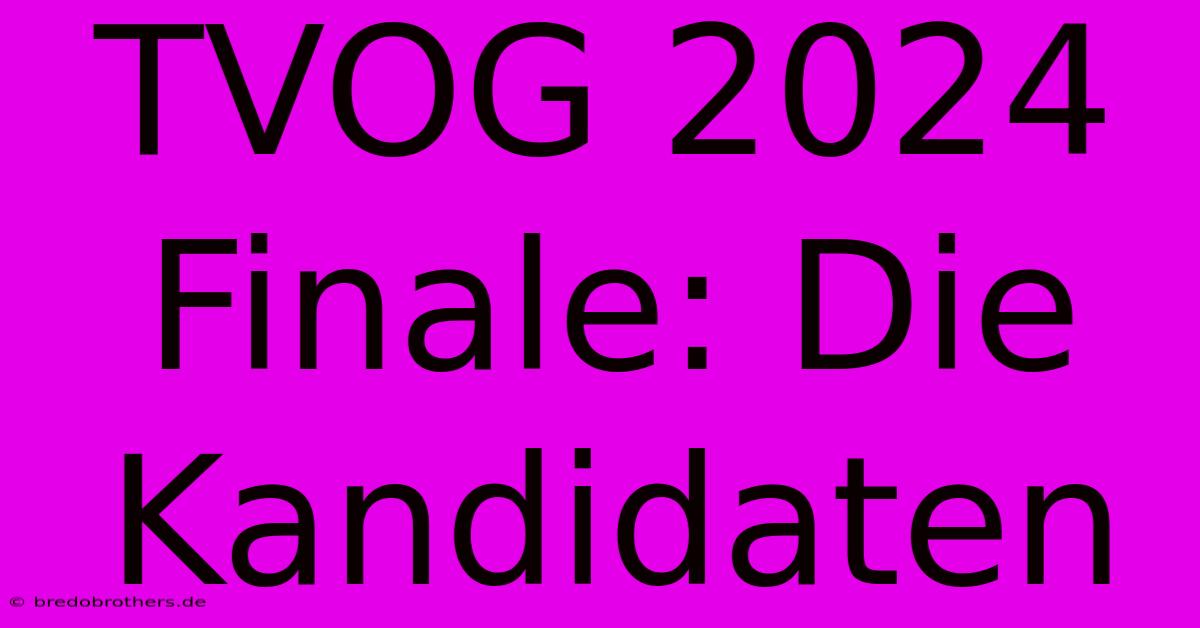 TVOG 2024 Finale: Die Kandidaten