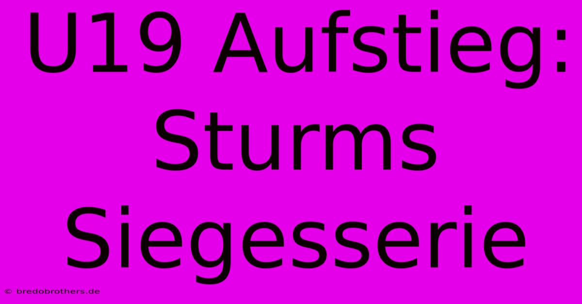 U19 Aufstieg: Sturms Siegesserie