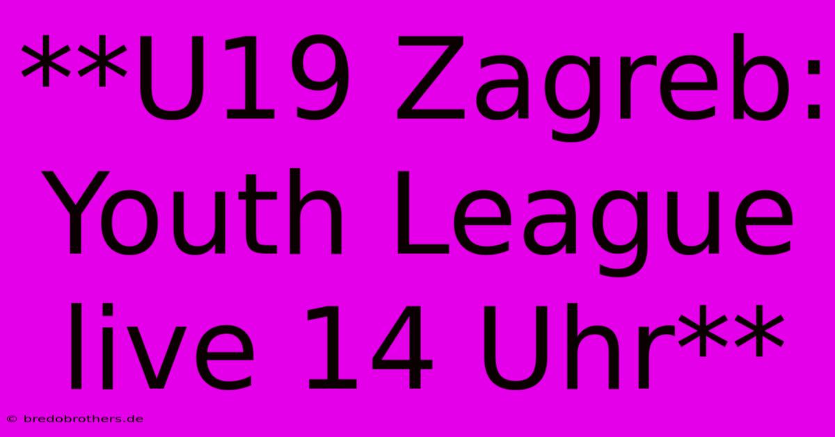 **U19 Zagreb: Youth League Live 14 Uhr**