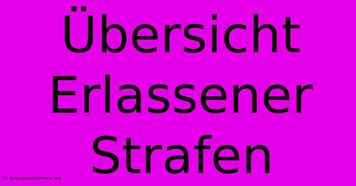 Übersicht Erlassener Strafen