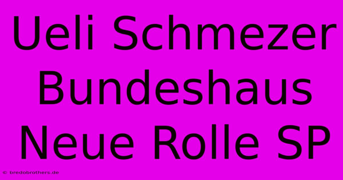 Ueli Schmezer Bundeshaus Neue Rolle SP