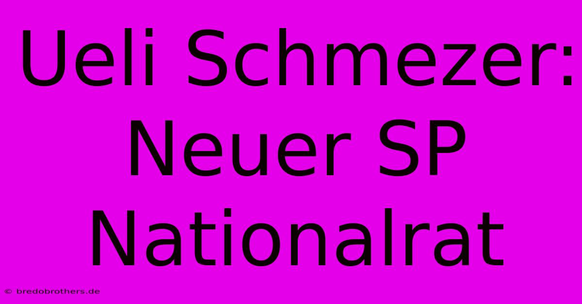 Ueli Schmezer: Neuer SP Nationalrat