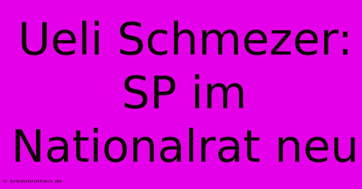 Ueli Schmezer: SP Im Nationalrat Neu