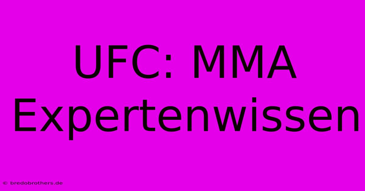 UFC: MMA Expertenwissen