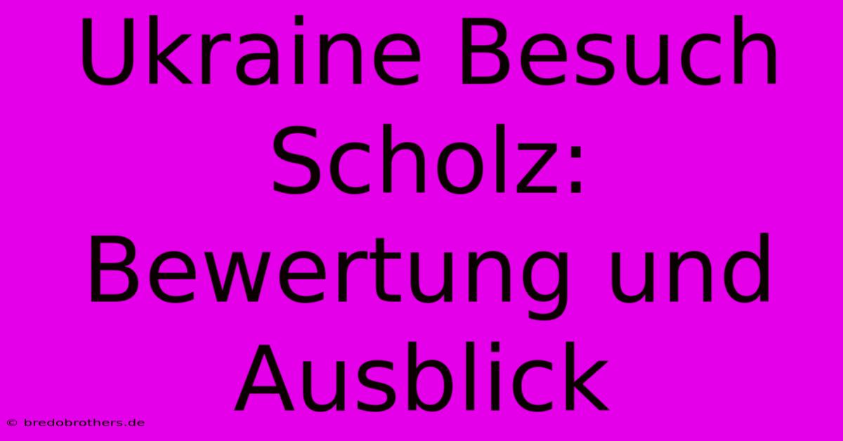 Ukraine Besuch Scholz:  Bewertung Und Ausblick