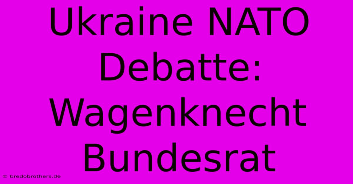 Ukraine NATO Debatte: Wagenknecht Bundesrat