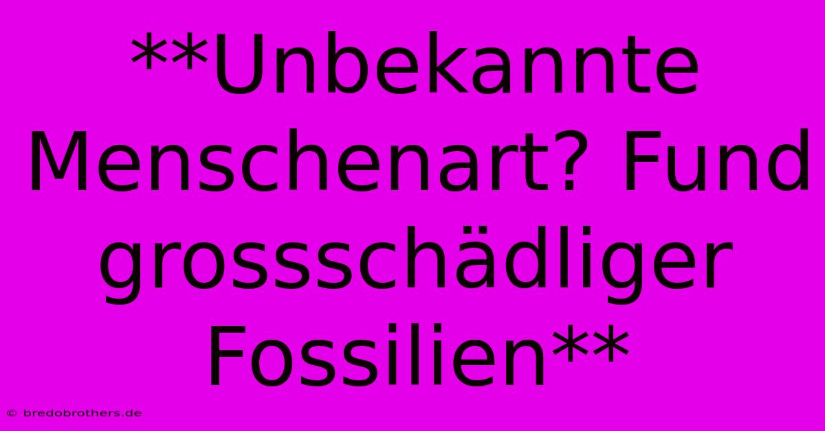 **Unbekannte Menschenart? Fund Grossschädliger Fossilien**