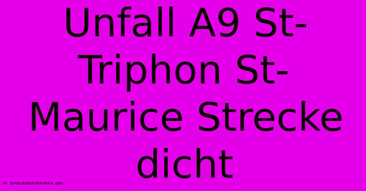 Unfall A9 St-Triphon St-Maurice Strecke Dicht