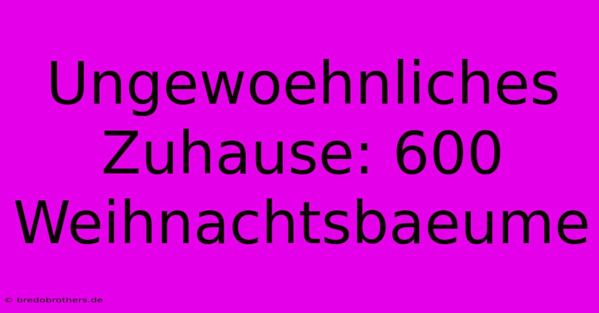 Ungewoehnliches Zuhause: 600 Weihnachtsbaeume