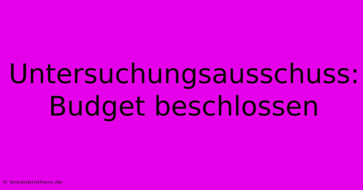 Untersuchungsausschuss: Budget Beschlossen