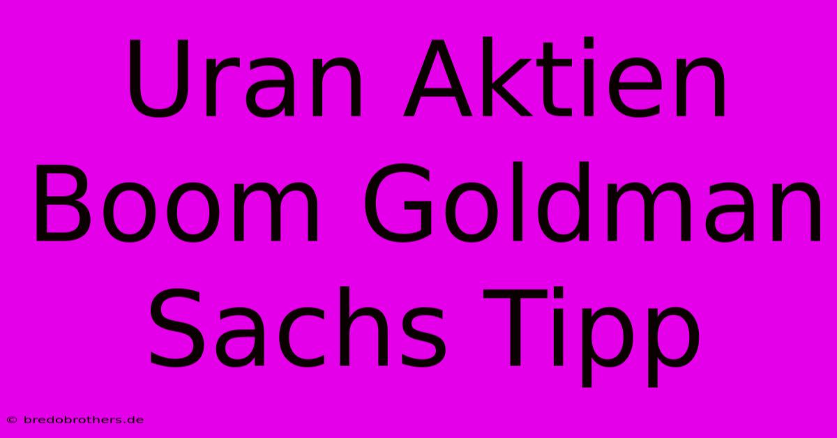 Uran Aktien Boom Goldman Sachs Tipp