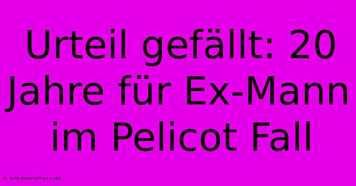 Urteil Gefällt: 20 Jahre Für Ex-Mann Im Pelicot Fall