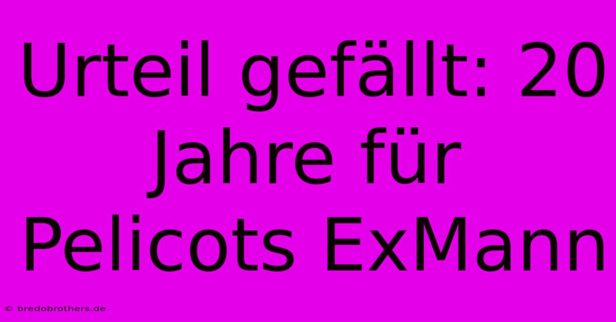 Urteil Gefällt: 20 Jahre Für Pelicots ExMann