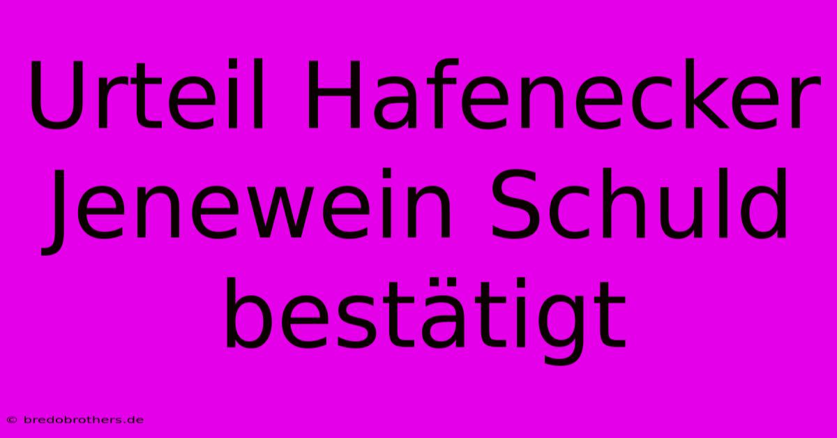 Urteil Hafenecker Jenewein Schuld Bestätigt