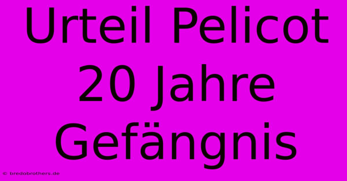 Urteil Pelicot 20 Jahre Gefängnis