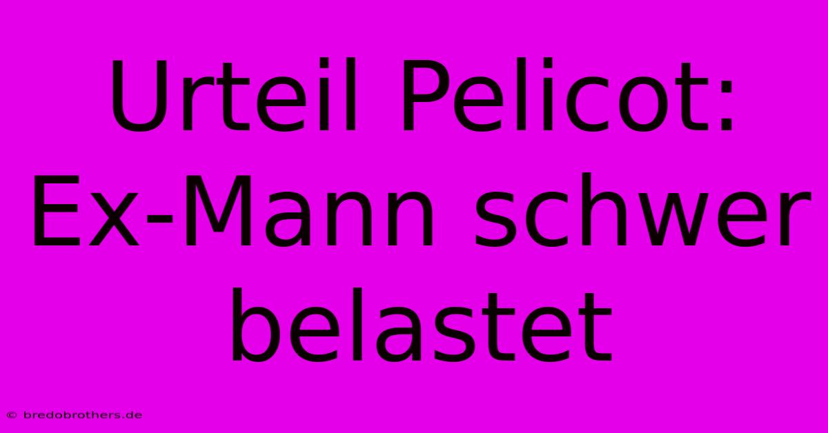 Urteil Pelicot: Ex-Mann Schwer Belastet