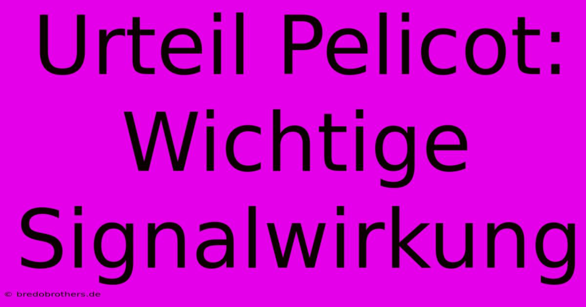 Urteil Pelicot: Wichtige Signalwirkung