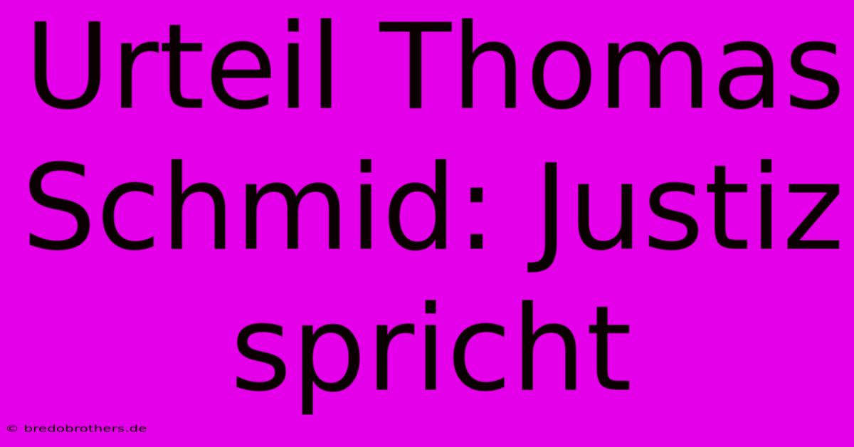 Urteil Thomas Schmid: Justiz Spricht