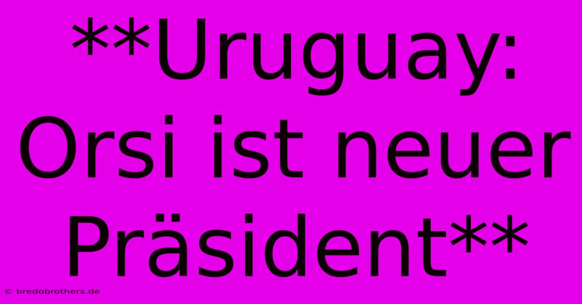 **Uruguay: Orsi Ist Neuer Präsident**