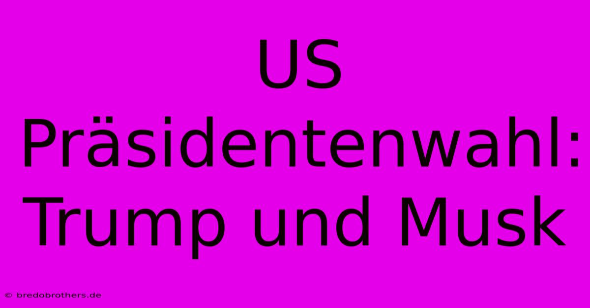 US Präsidentenwahl: Trump Und Musk