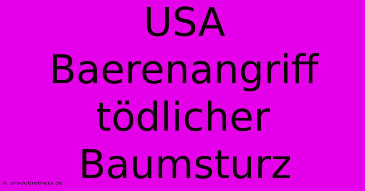 USA Baerenangriff Tödlicher Baumsturz