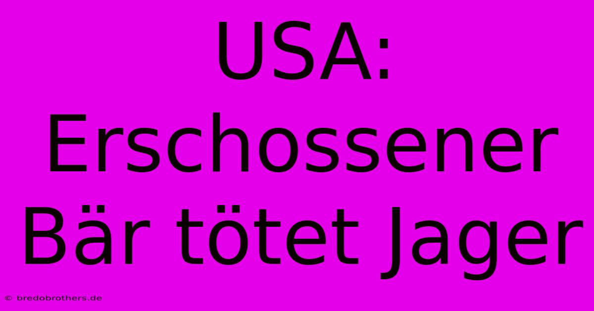 USA: Erschossener Bär Tötet Jager