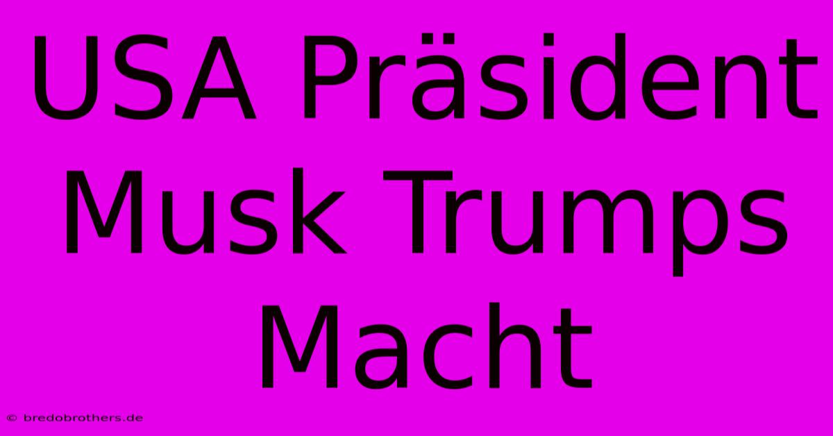 USA Präsident Musk Trumps Macht