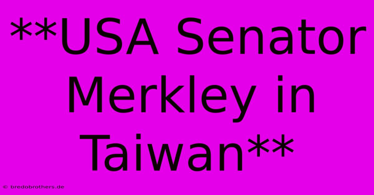 **USA Senator Merkley In Taiwan**