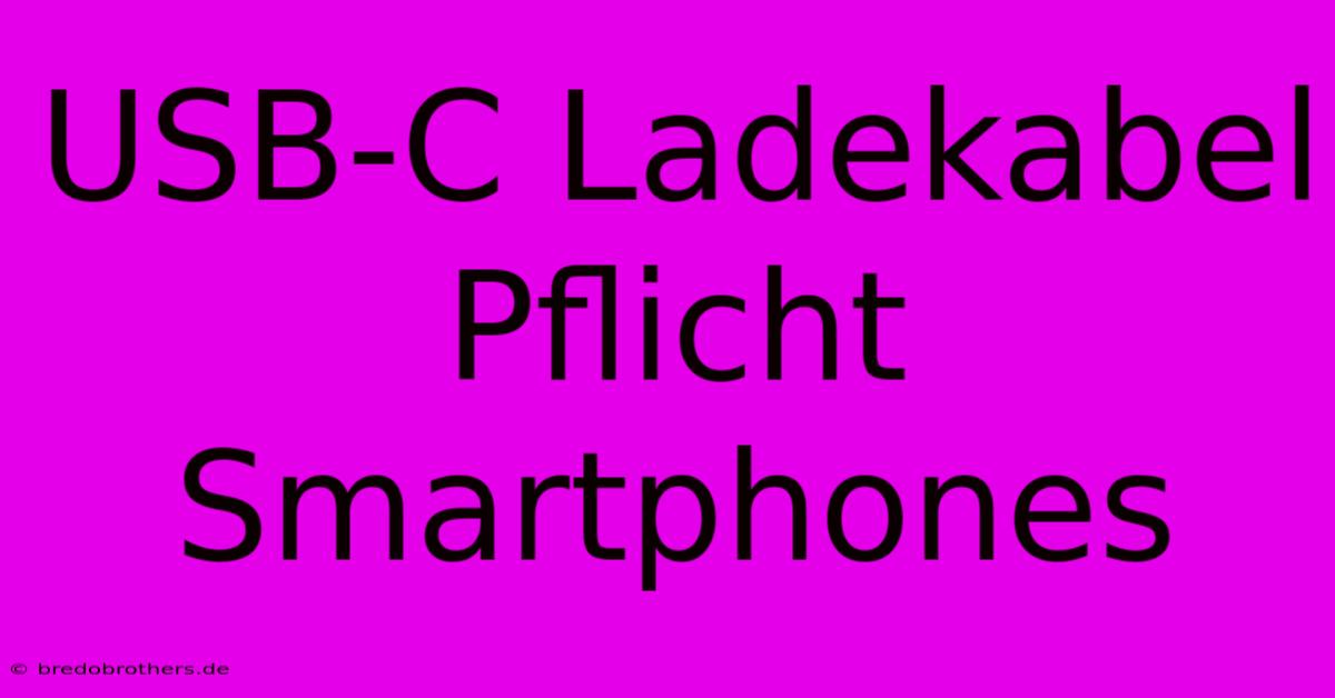 USB-C Ladekabel Pflicht Smartphones