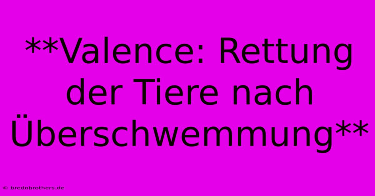 **Valence: Rettung Der Tiere Nach Überschwemmung**