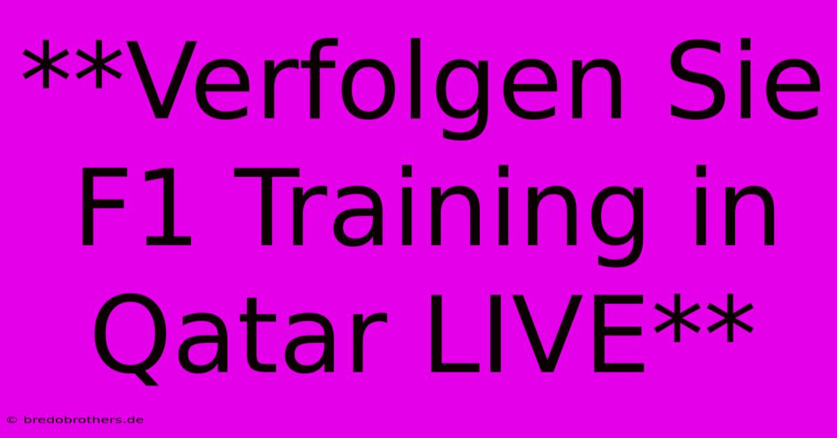 **Verfolgen Sie F1 Training In Qatar LIVE**