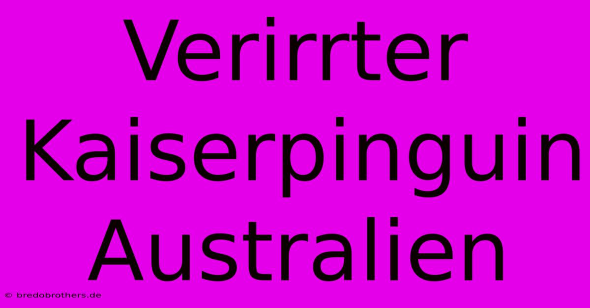 Verirrter Kaiserpinguin Australien