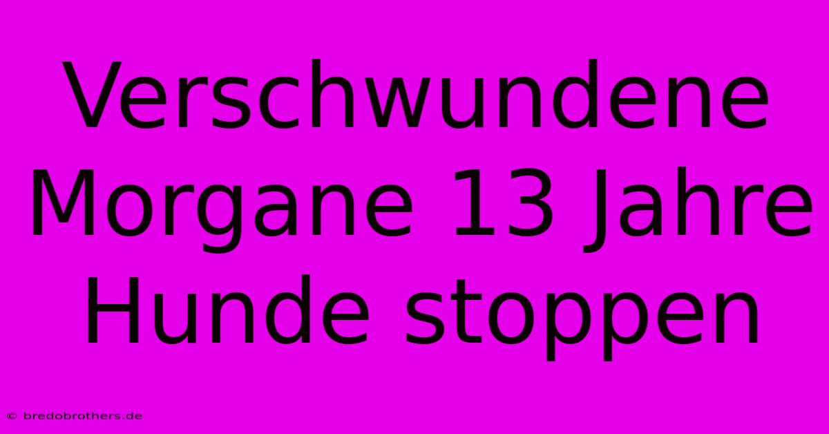 Verschwundene Morgane 13 Jahre Hunde Stoppen