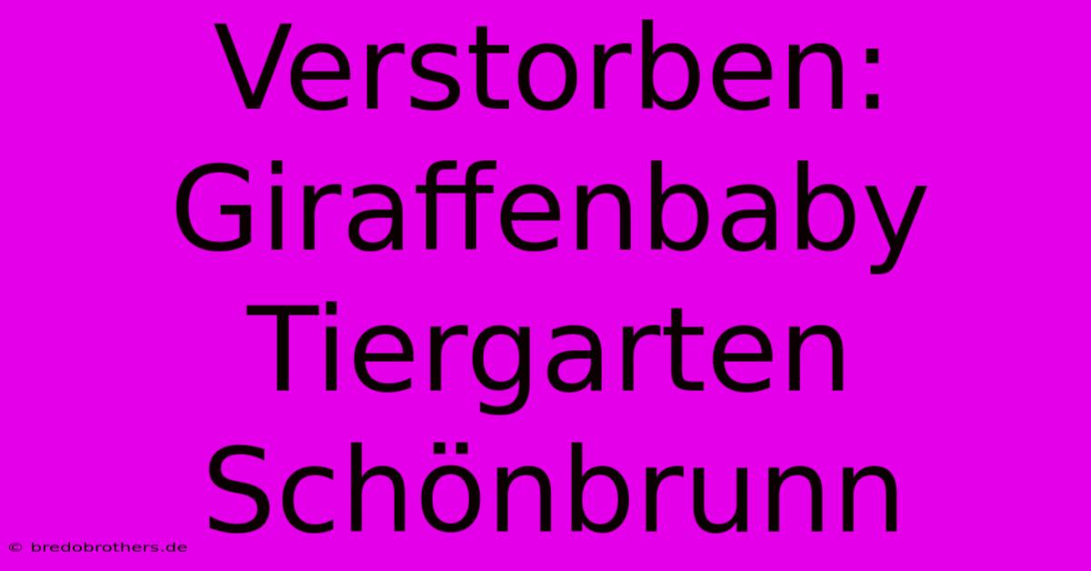 Verstorben: Giraffenbaby Tiergarten Schönbrunn