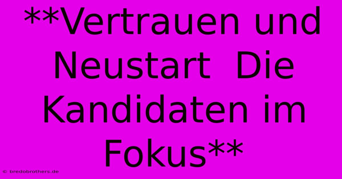 **Vertrauen Und Neustart  Die Kandidaten Im Fokus**