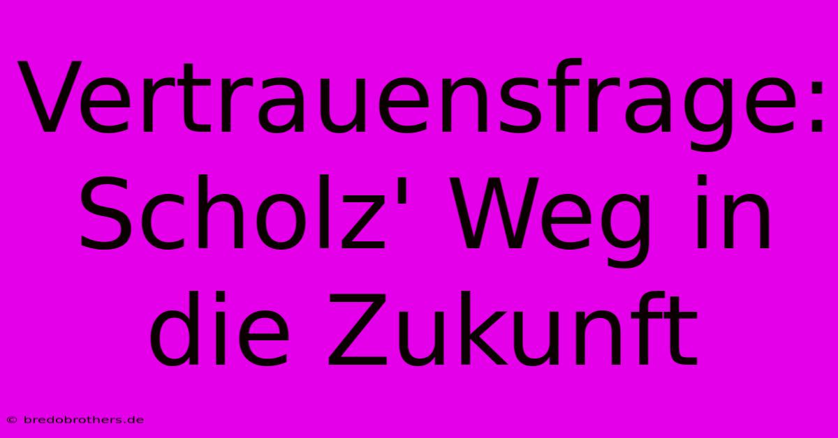 Vertrauensfrage: Scholz' Weg In Die Zukunft