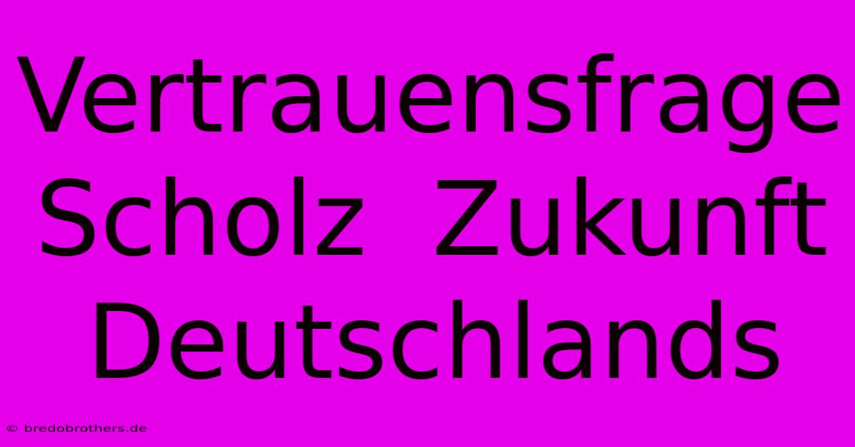 Vertrauensfrage Scholz  Zukunft Deutschlands