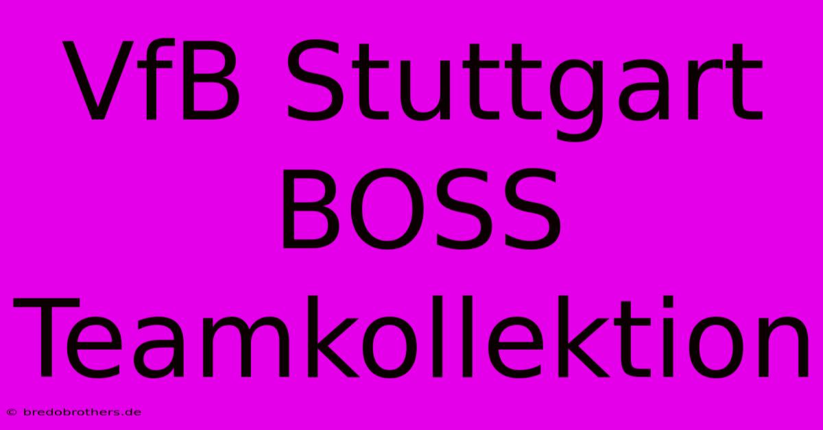 VfB Stuttgart BOSS Teamkollektion