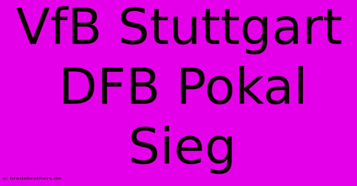 VfB Stuttgart DFB Pokal Sieg