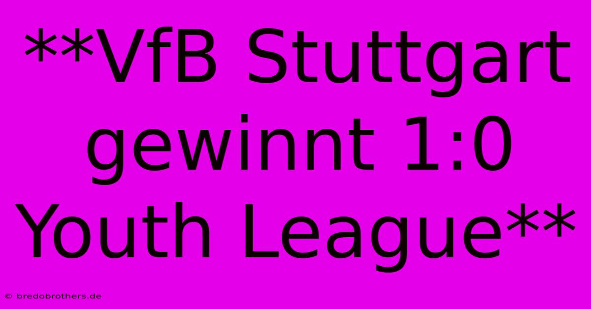 **VfB Stuttgart Gewinnt 1:0 Youth League**