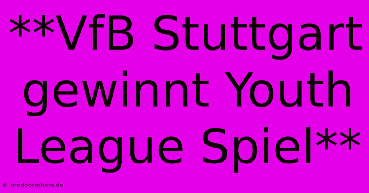 **VfB Stuttgart Gewinnt Youth League Spiel**