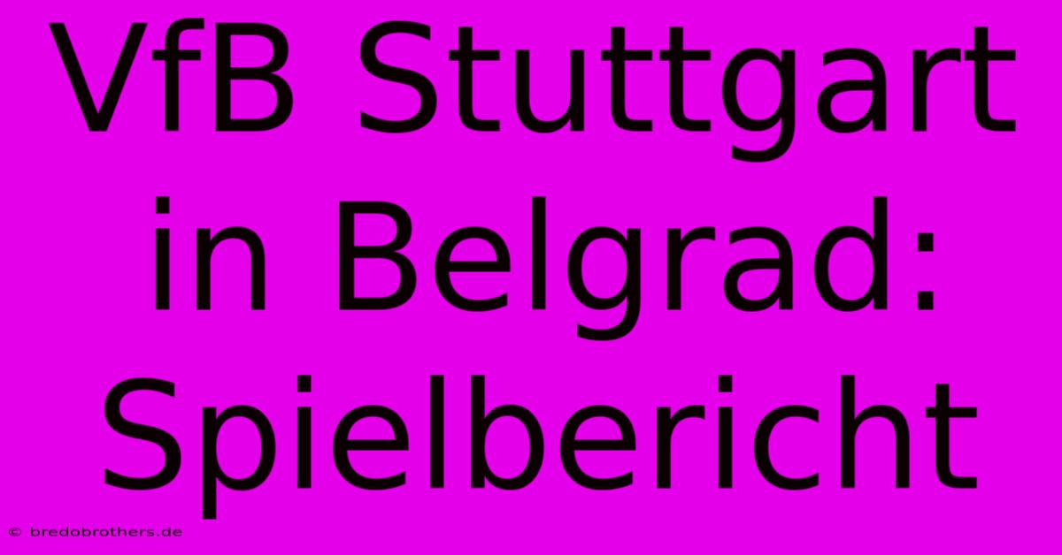 VfB Stuttgart In Belgrad: Spielbericht