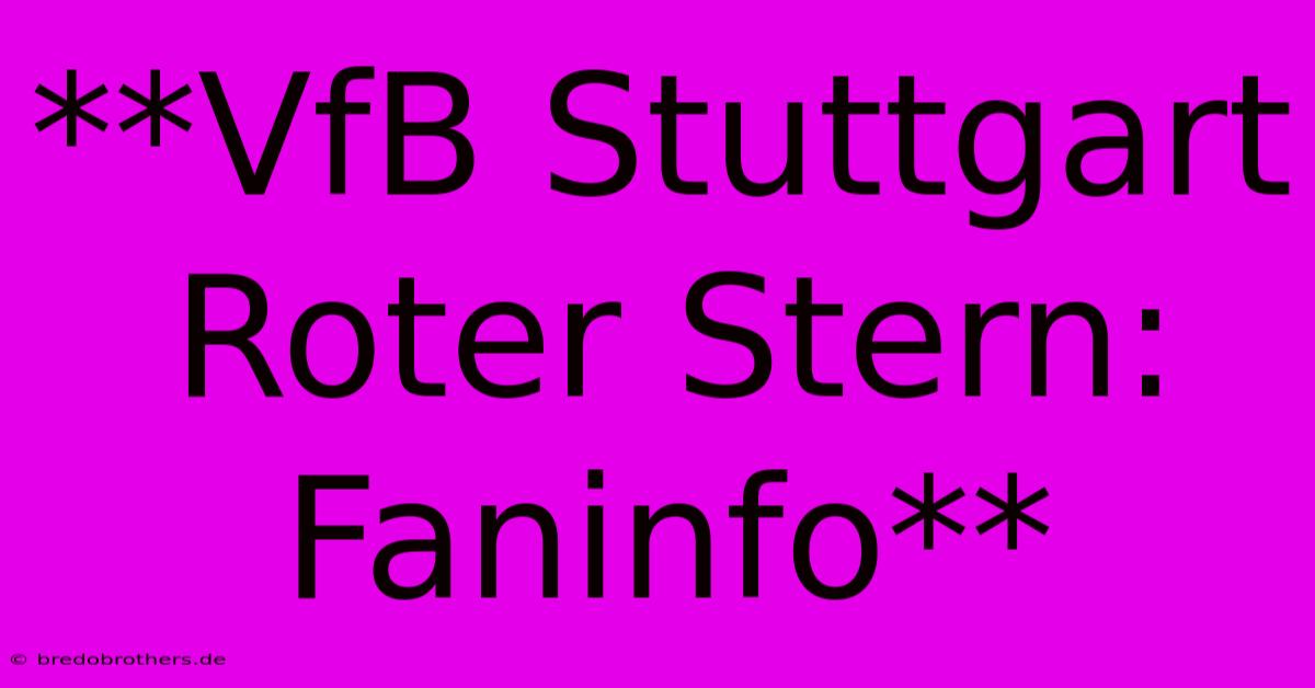 **VfB Stuttgart Roter Stern: Faninfo**