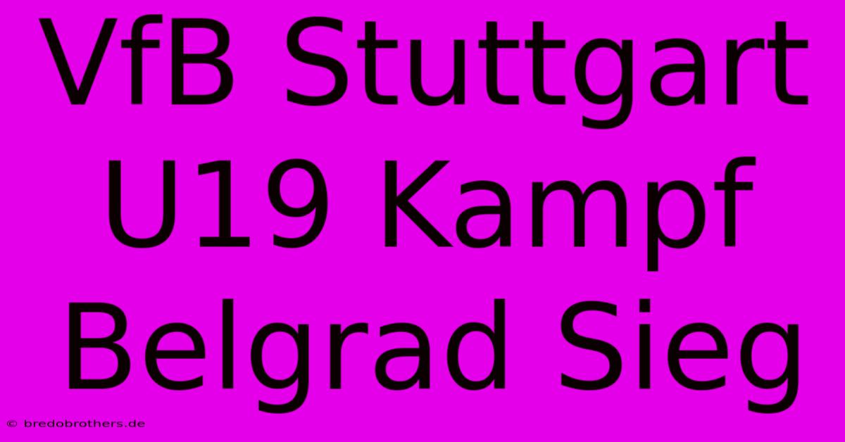 VfB Stuttgart U19 Kampf Belgrad Sieg